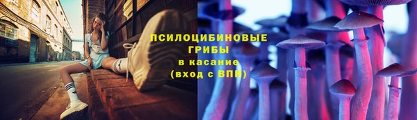 прущие крисы Володарск