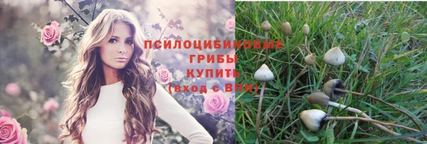 ГАЛЛЮЦИНОГЕННЫЕ ГРИБЫ Волоколамск
