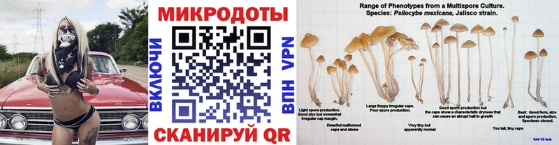 купить  цена  Карачев  Галлюциногенные грибы MAGIC MUSHROOMS 
